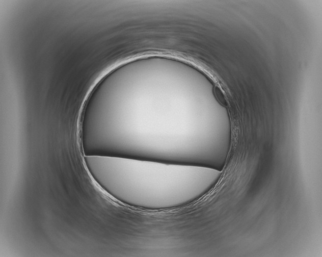 X0000113251535200909100933