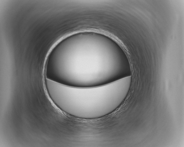 X0000113251536200909100933