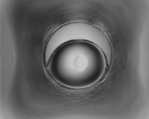X0000113250001200909101438