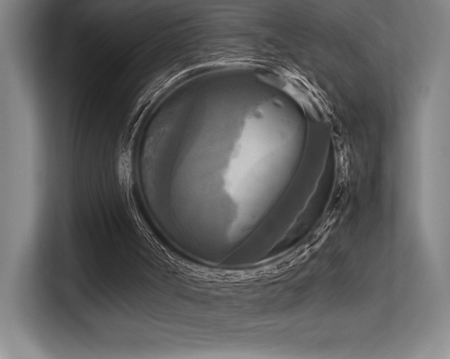 X0000113250002200909101438