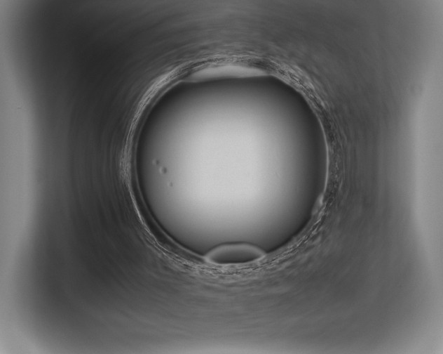 X0000113250003200909101437