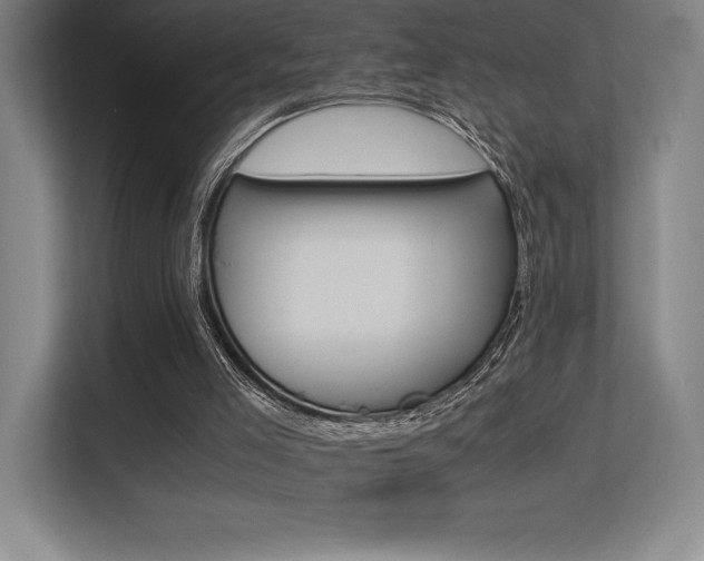 X0000113250005200909101437
