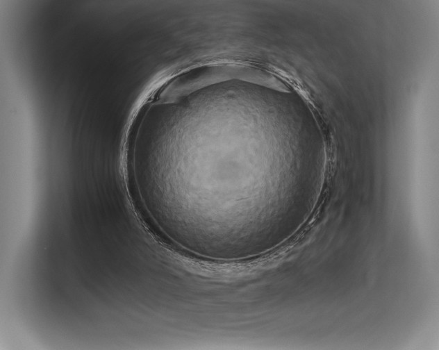 X0000113250006200909101437