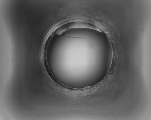 X0000113250007200909101437