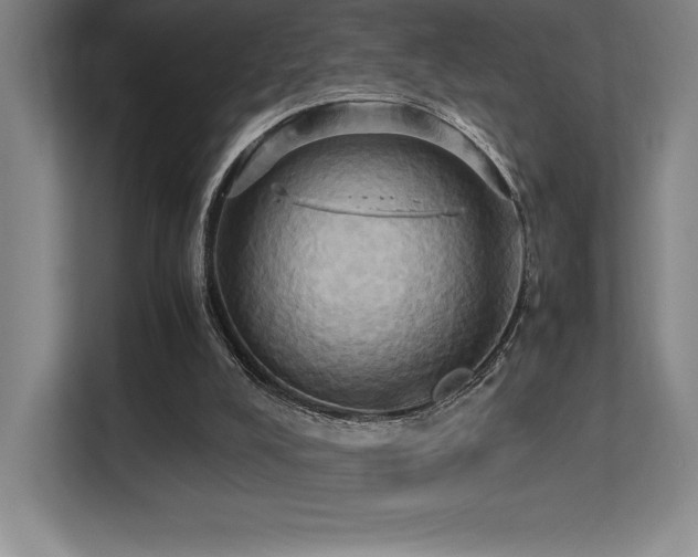 X0000113250008200909101437