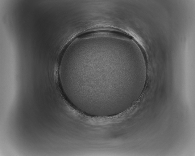 X0000113250009200909101437