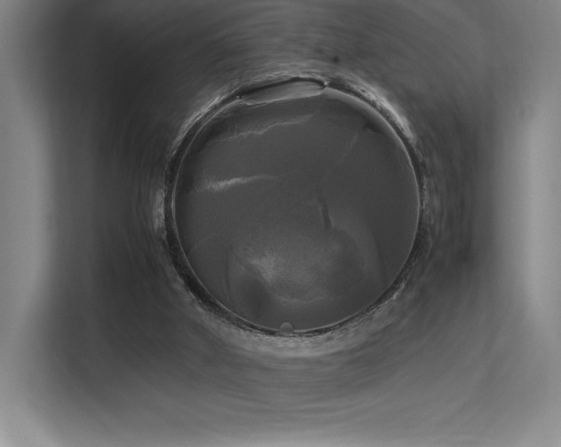 X0000113250010200909101437