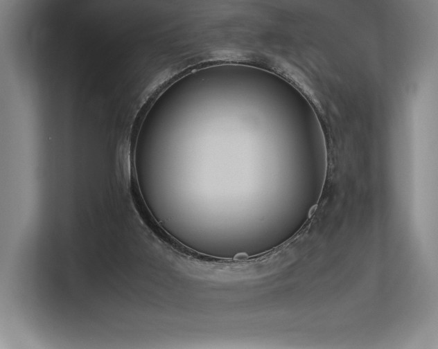 X0000113250011200909101437