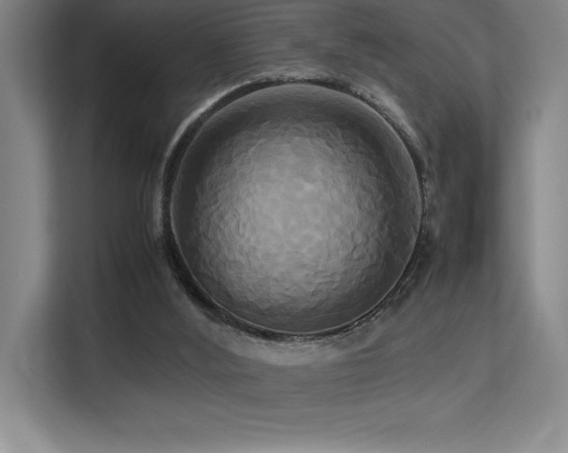 X0000113250012200909101437