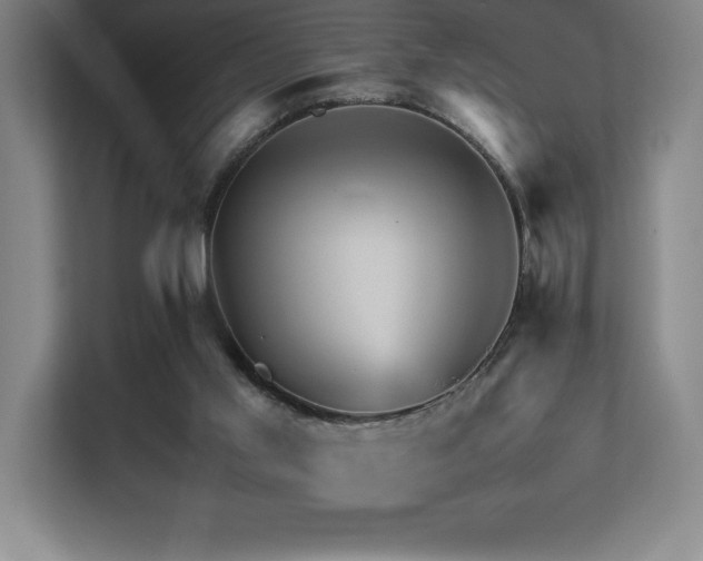 X0000113250013200909101437