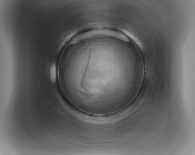 X0000113250014200909101437