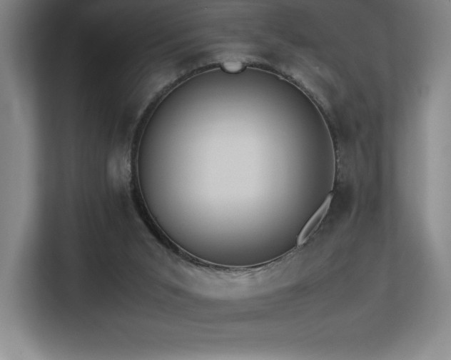 X0000113250015200909101437