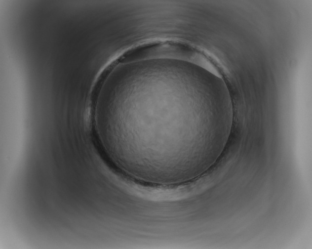 X0000113250016200909101437