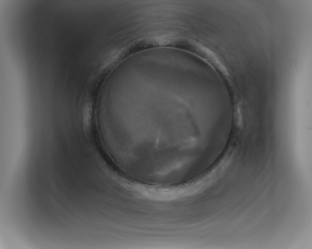 X0000113250018200909101437