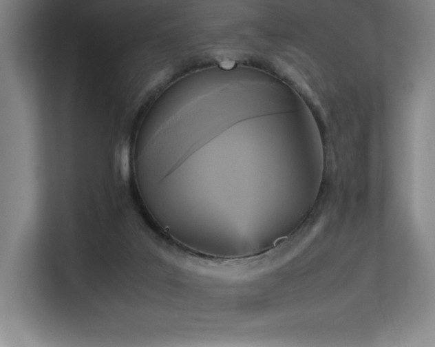 X0000113250019200909101437
