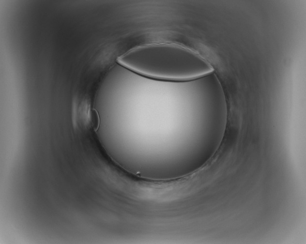 X0000113250021200909101437