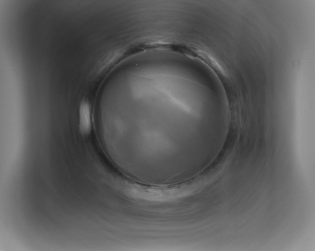 X0000113250022200909101437
