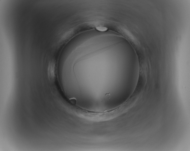 X0000113250023200909101437