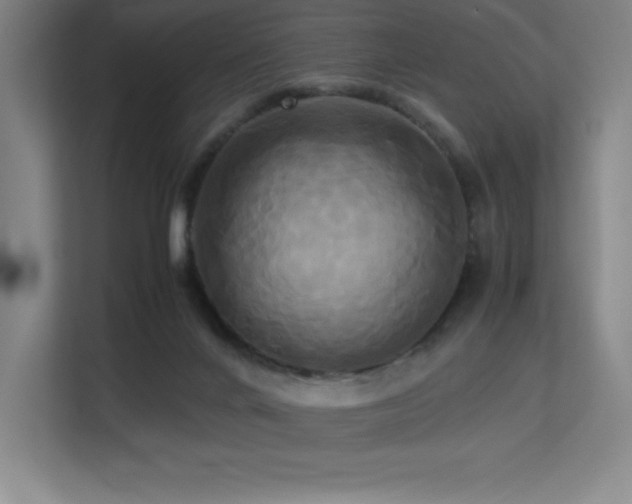 X0000113250024200909101437