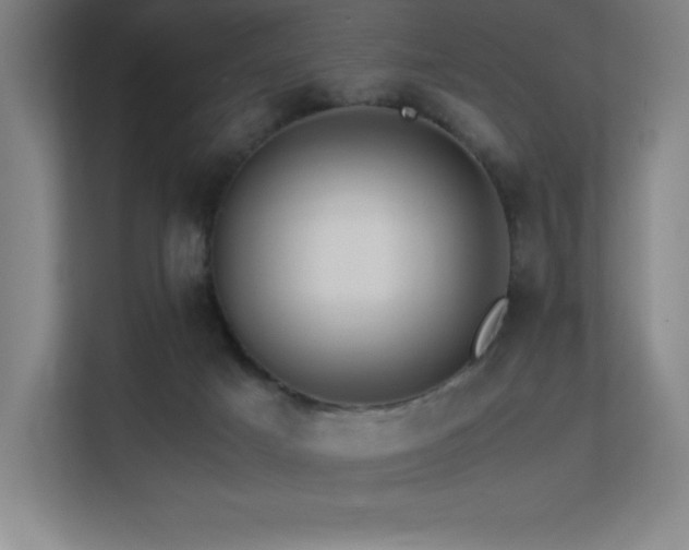 X0000113250025200909101437