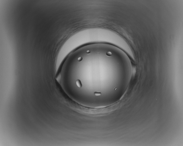 X0000113250027200909101437