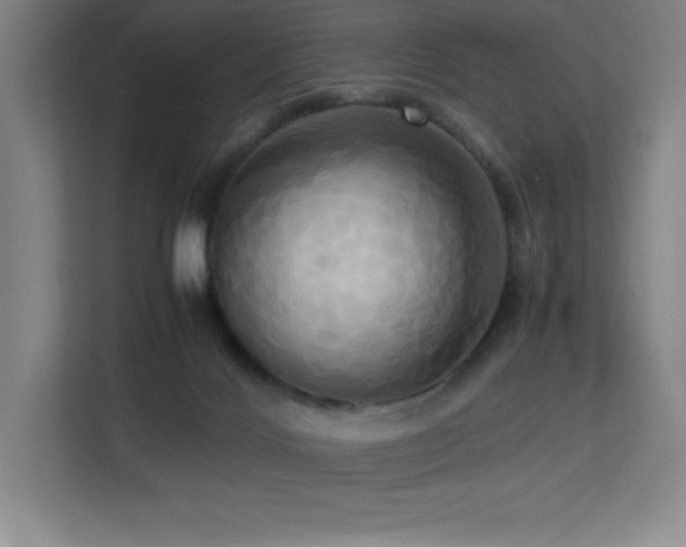 X0000113250028200909101437