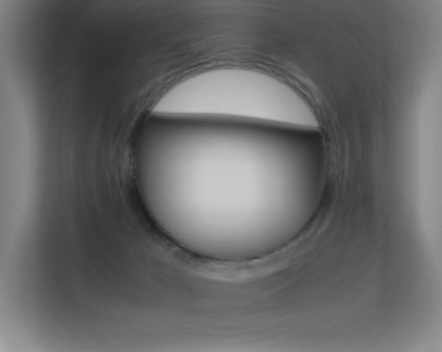X0000113250029200909101437