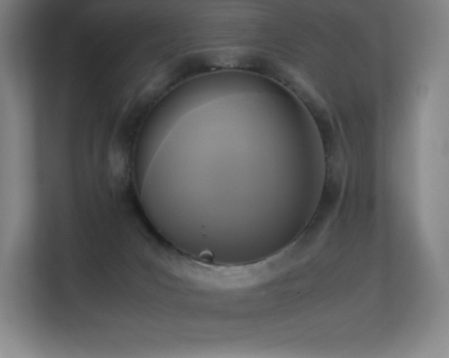 X0000113250031200909101437