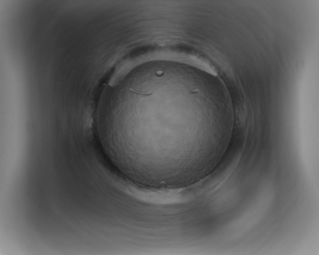 X0000113250032200909101437