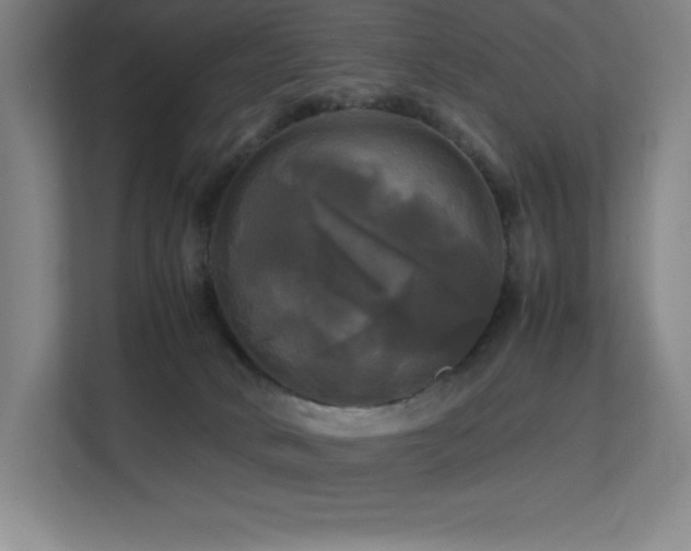 X0000113250034200909101437