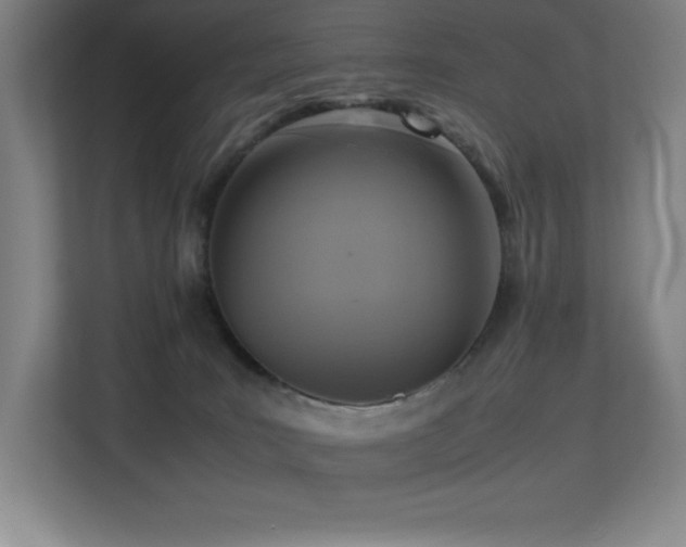 X0000113250035200909101437