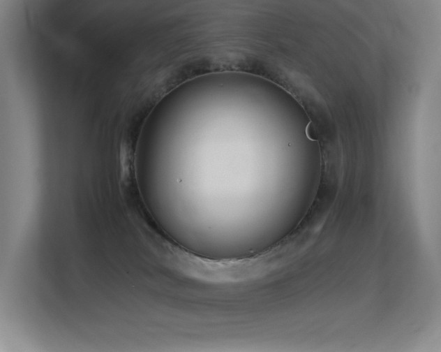 X0000113250038200909101437
