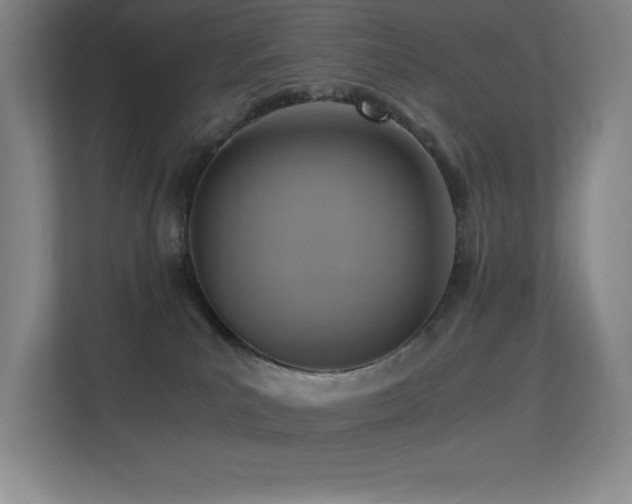 X0000113250039200909101437