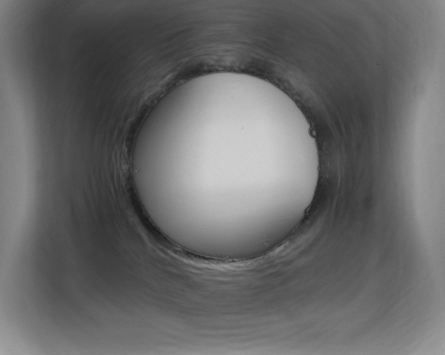 X0000113250040200909101437