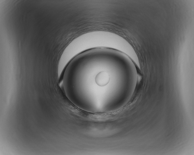 X0000113250041200909101437