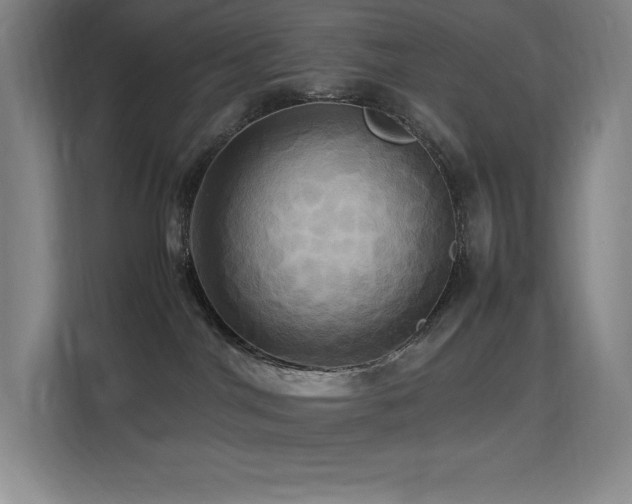 X0000113250044200909101437