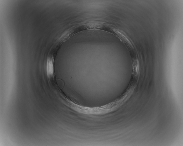 X0000113250046200909101437