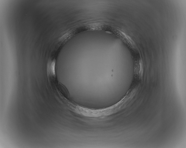 X0000113250047200909101437
