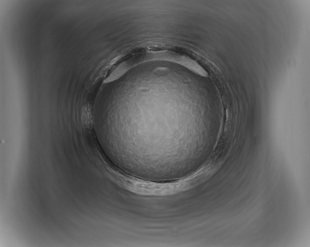 X0000113250048200909101437