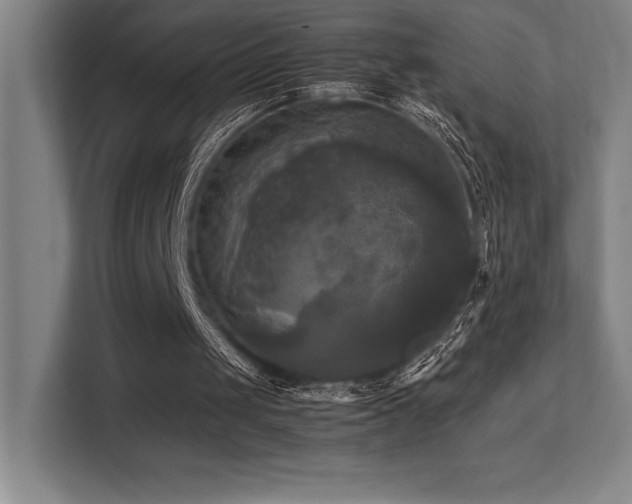 X0000113250049200909101436