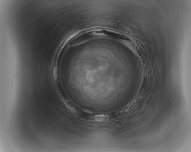 X0000113250050200909101436