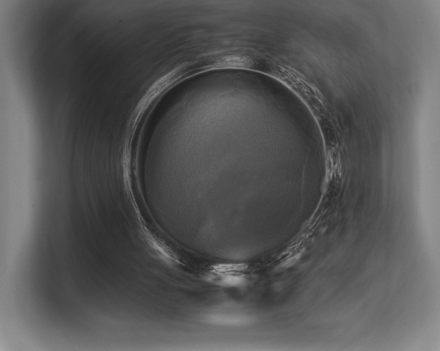 X0000113250051200909101436