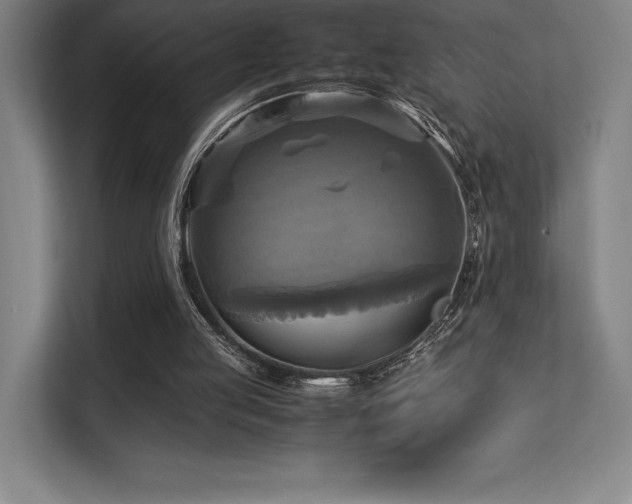 X0000113250053200909101436