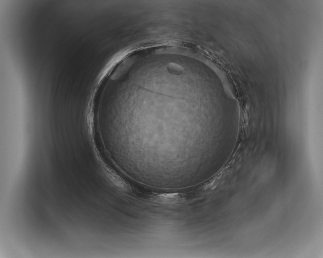 X0000113250054200909101436
