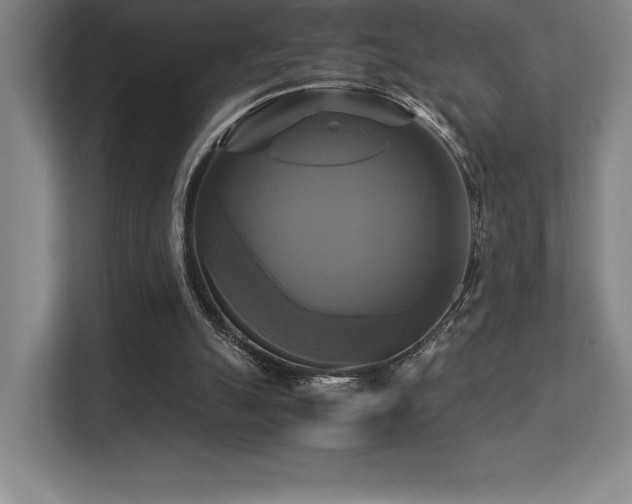 X0000113250055200909101436
