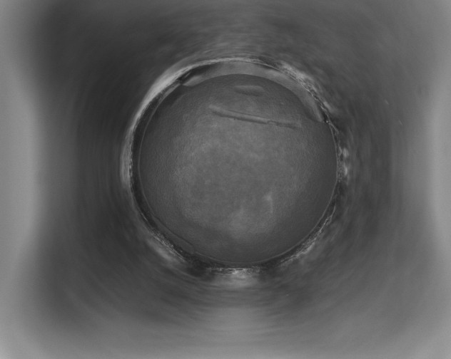 X0000113250056200909101436