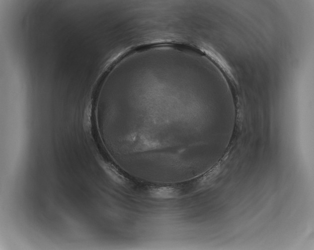 X0000113250058200909101436