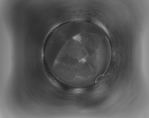 X0000113250059200909101436