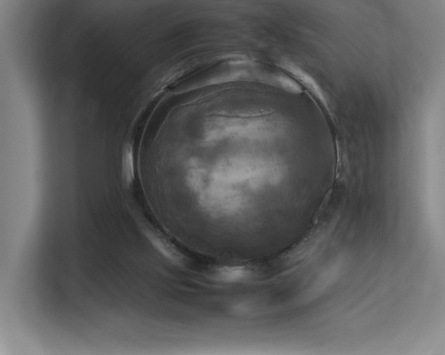 X0000113250061200909101436