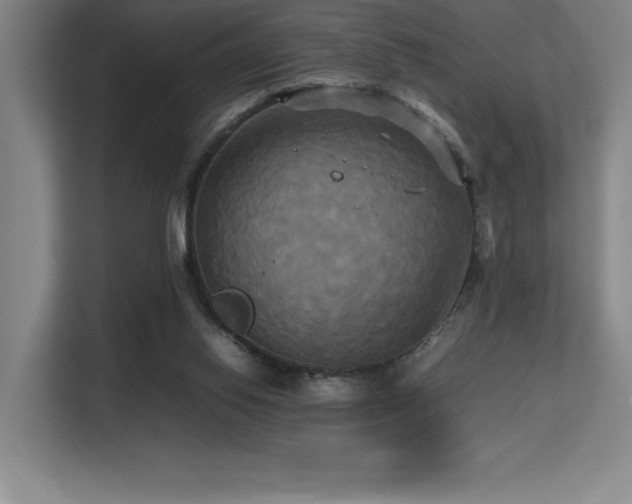 X0000113250062200909101436